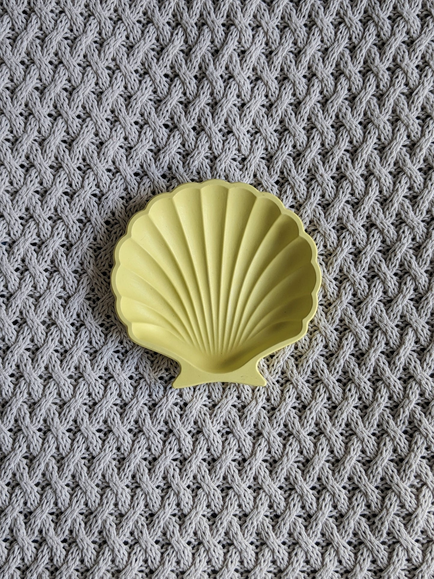 Shell Trinket Tray