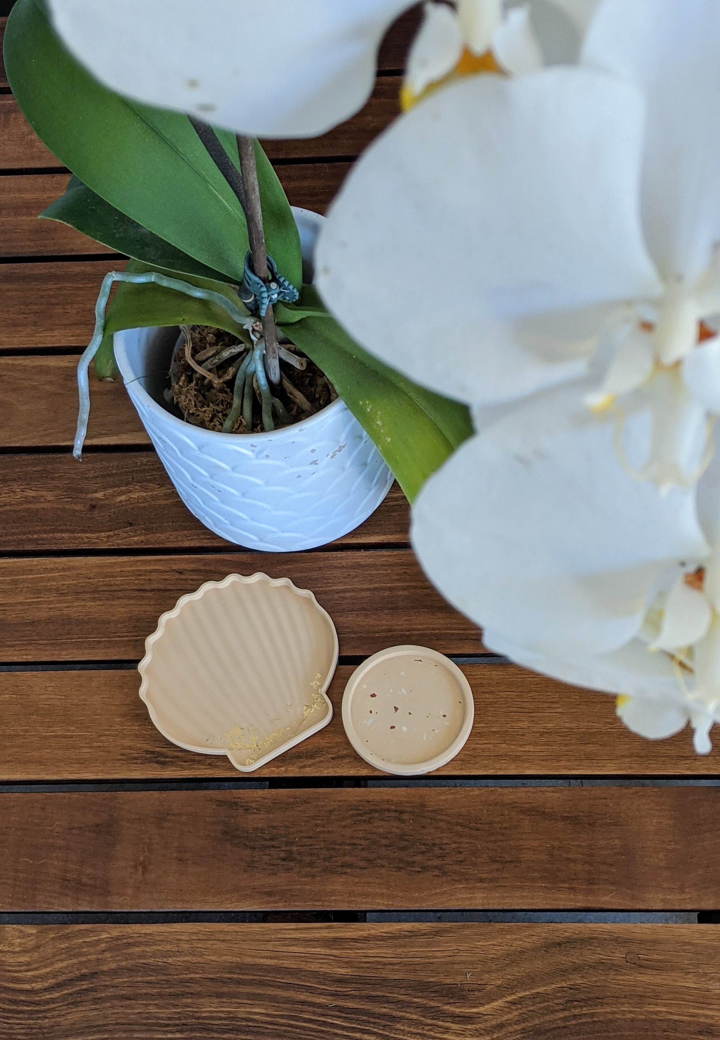 Flat Shell Trinket Tray