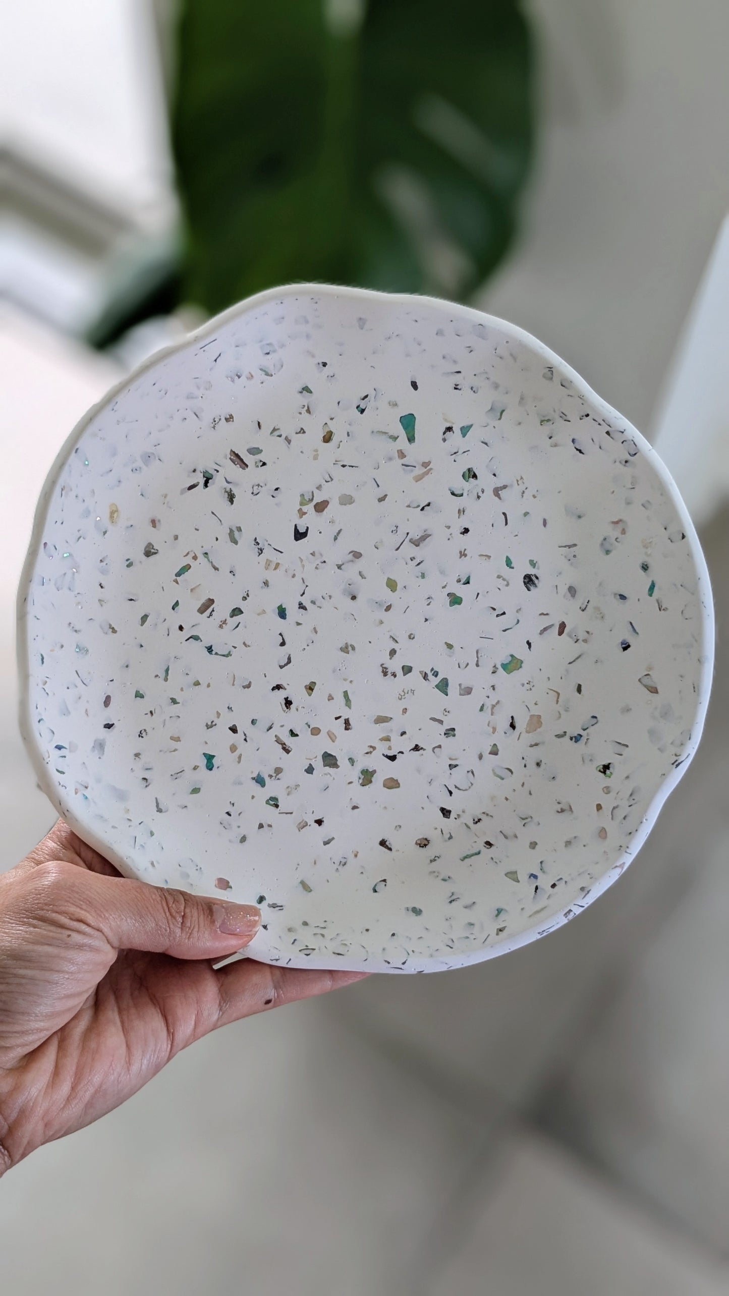 Wave Tray