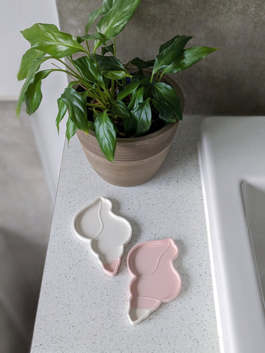 Small Flat Conch Shell Trinket Tray