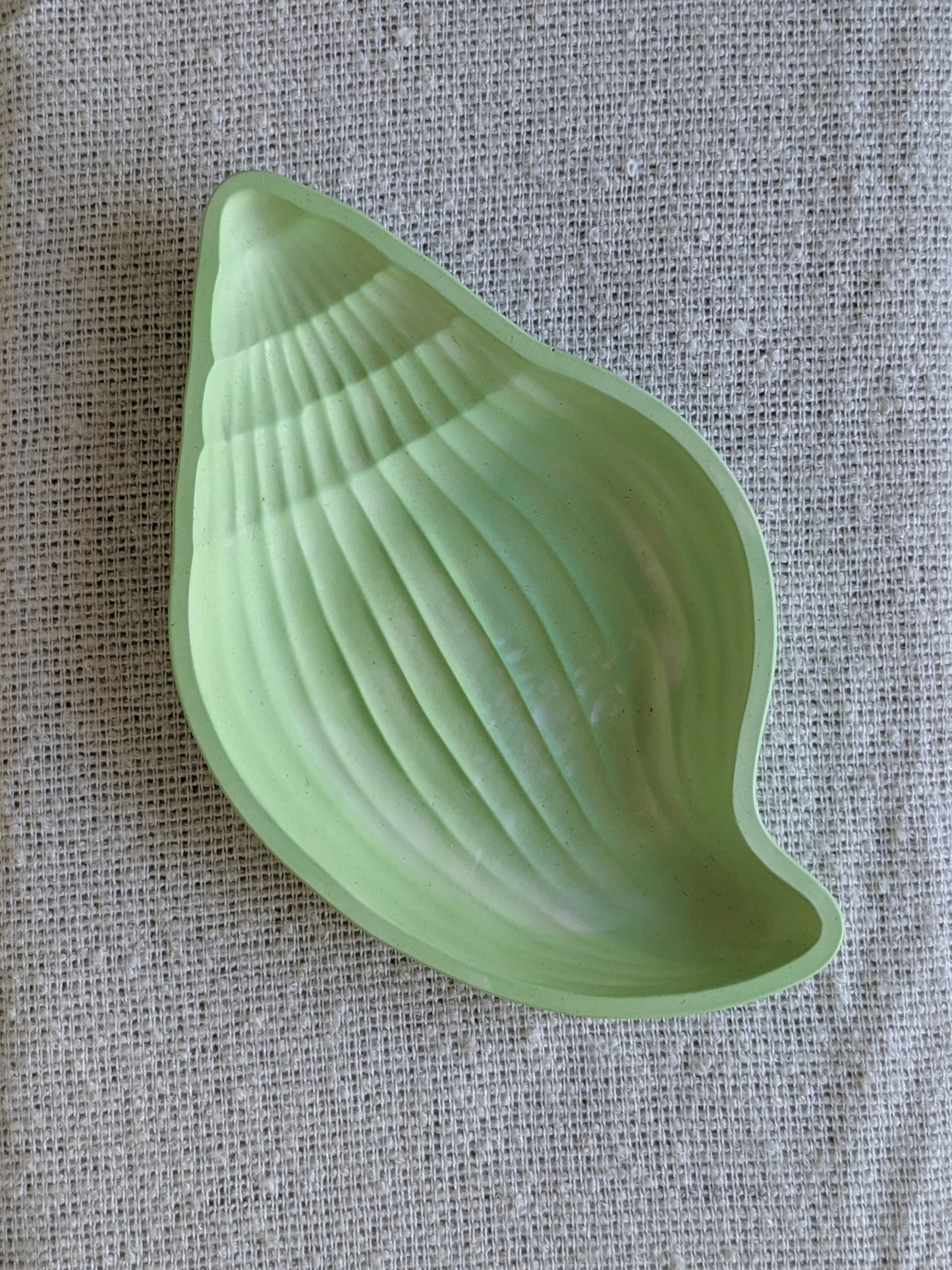 Conch Shell Trinket Tray