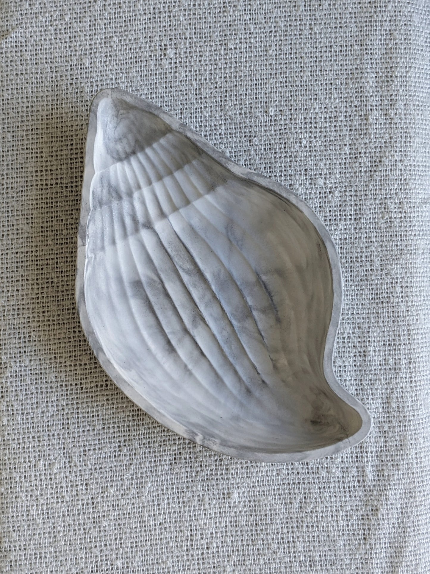 Conch Shell Trinket Tray